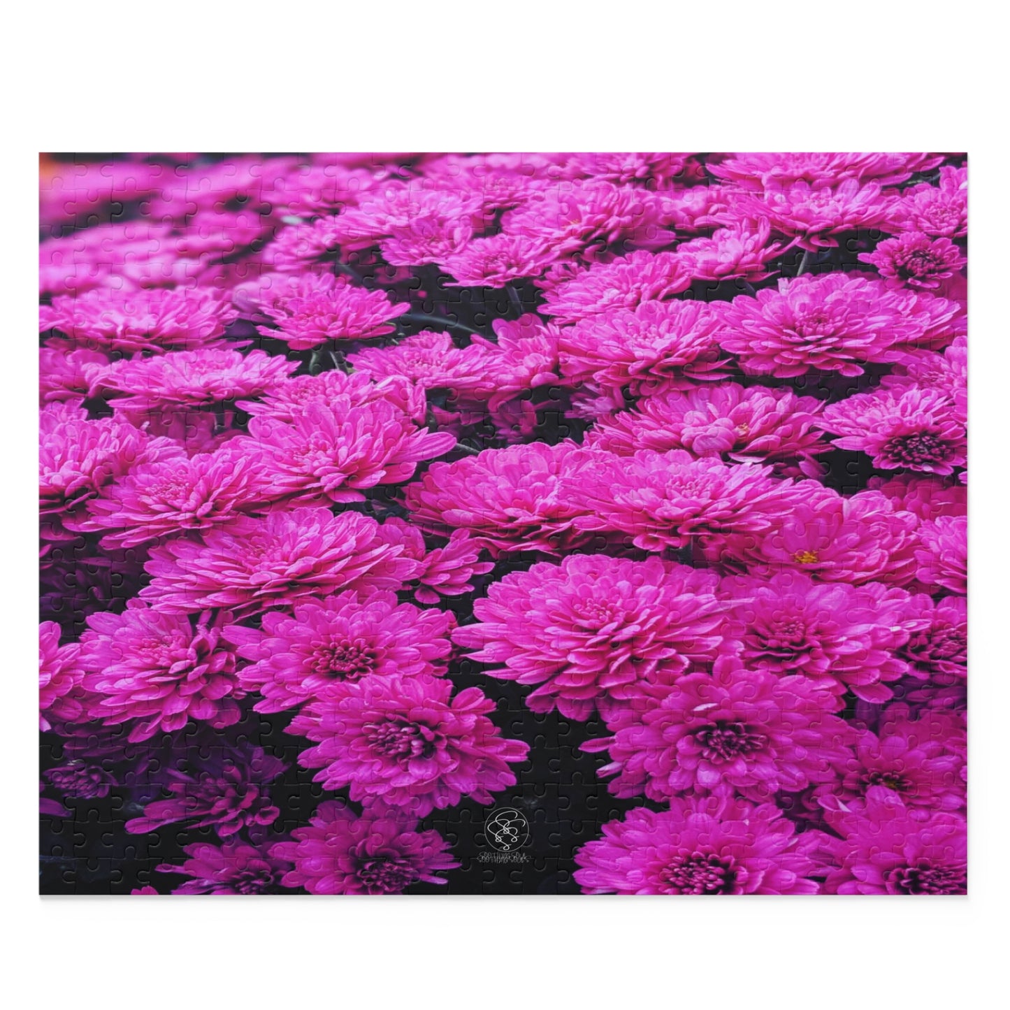 SSSS Pink Chrysanthemum Puzzle (120, 252, 500-Piece)